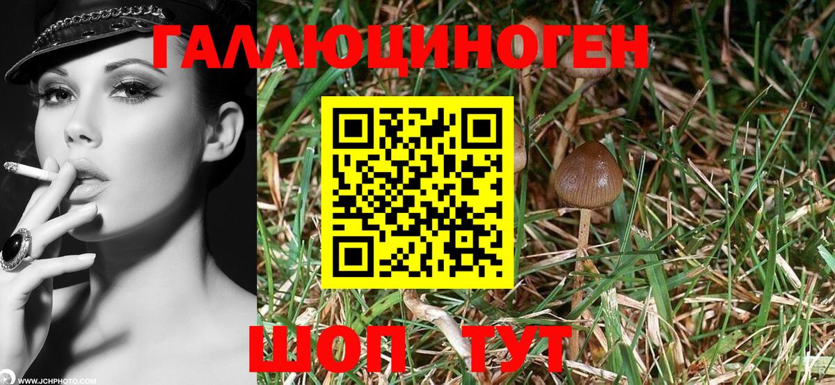 Галлюциногенные грибы GOLDEN TEACHER Дивногорск