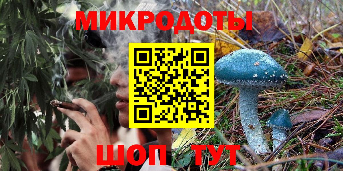 Дивногорск  Галлюциногенные грибы Psilocybine cubensis  Вход с VPN 